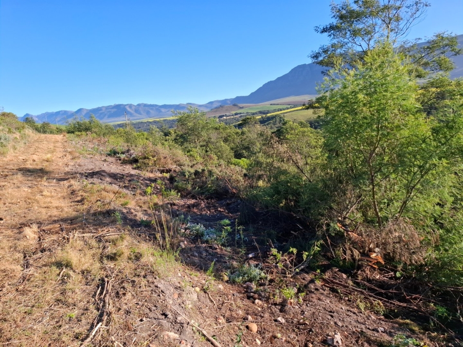 9 Bedroom Property for Sale in Riversdale Rural Western Cape